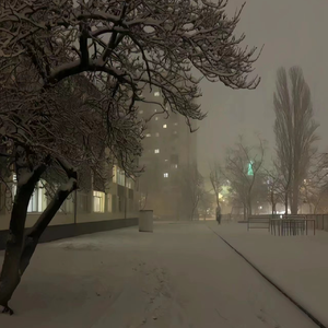 红豆黄色一级视频
