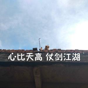 红豆黄色一级视频
